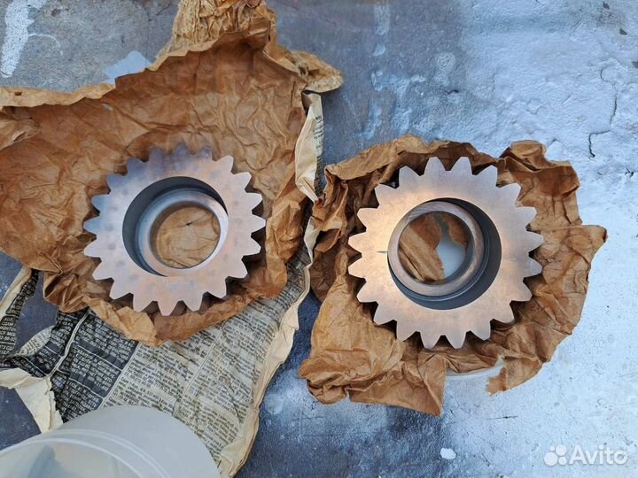 Долбяк чашечный