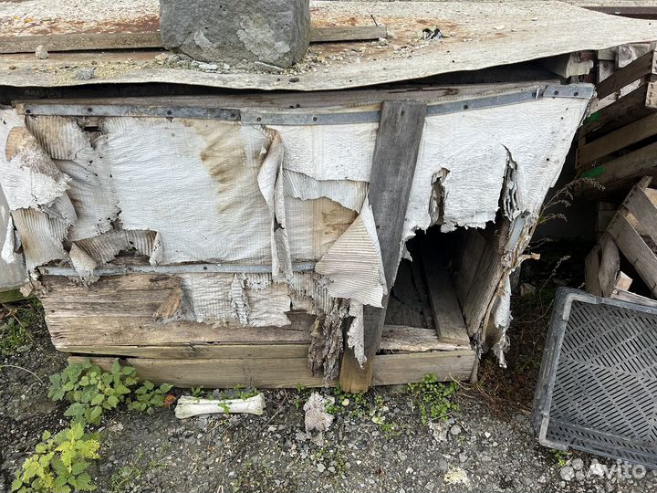 Будка для собаки бесплатно