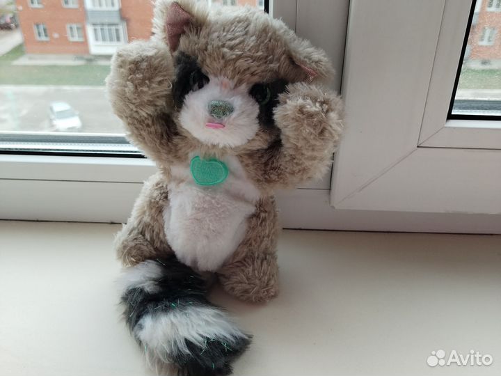 Енот интерактивный