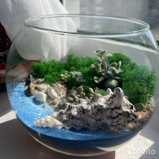Флорариум цветы подарок суккуленты