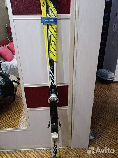 Горные лыжи