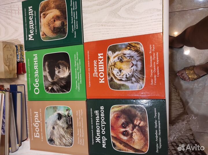 Коллекция книг Удивительный мир живой природы