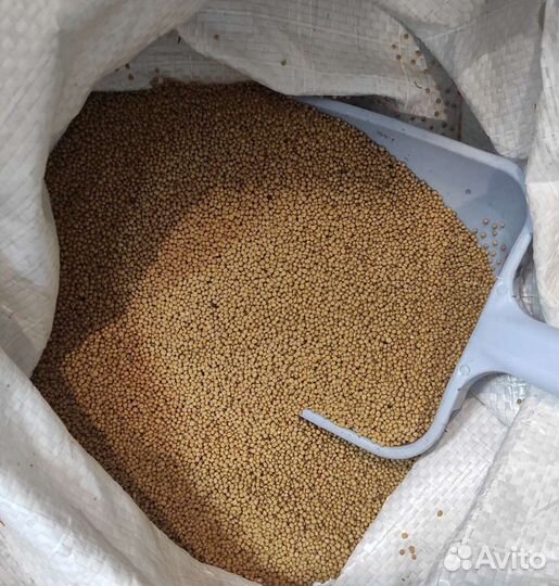 Горчица белая премиум класса