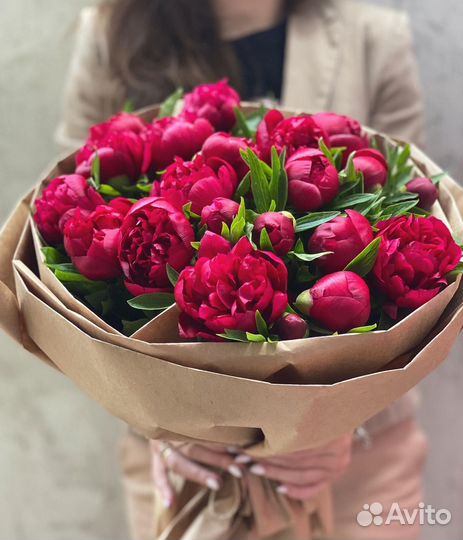 Букеты из Пионов 25/51/101 Цветы с Доставкой