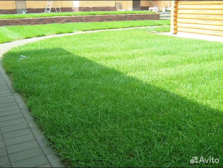 Газон рулонный
