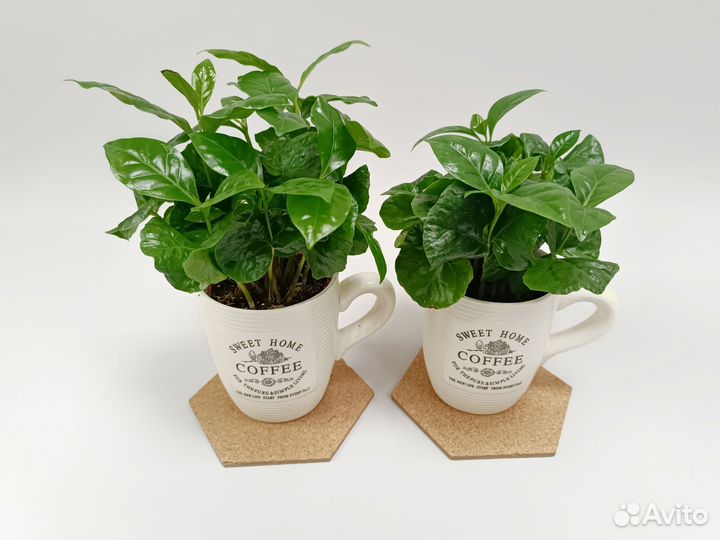 Кофе в кружке