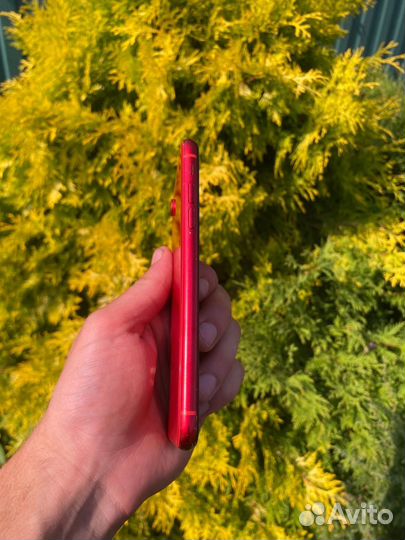 iPhone Xr, 128 ГБ