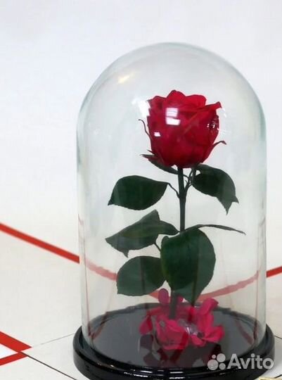 Роза в колбе