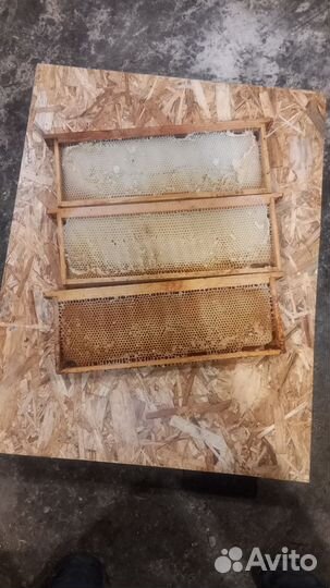 Сушь для пчёл 145 рамка