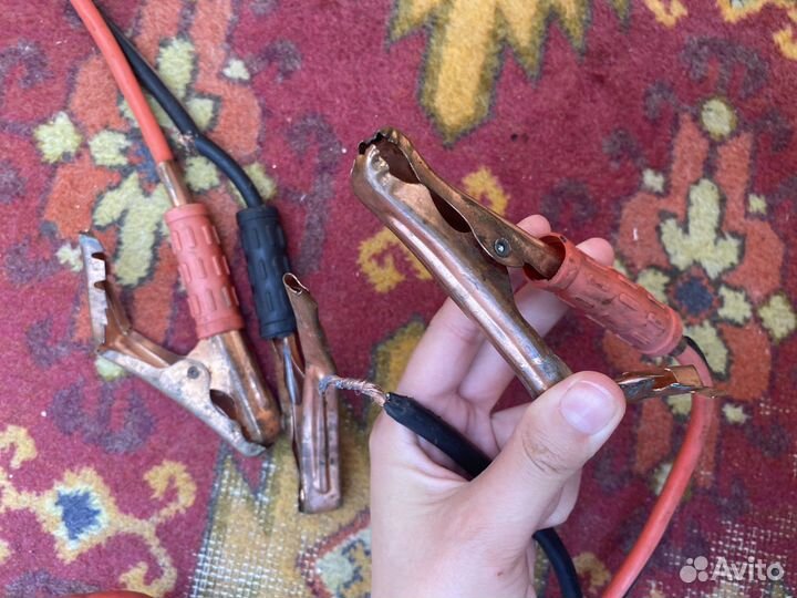 Крокодильчики