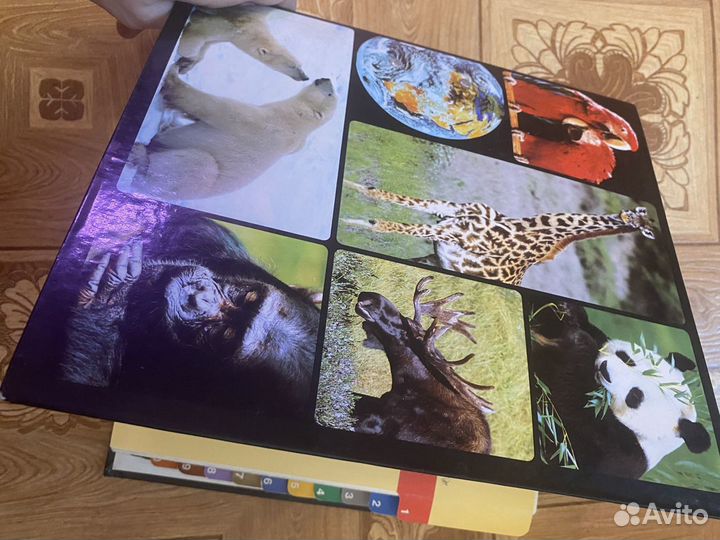 Энциклопедия о животеых В мире великой природы