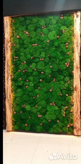 Премиум королевские кочки эко панели