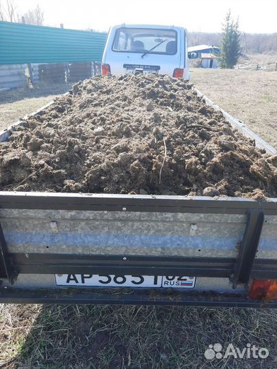 Конский навоз