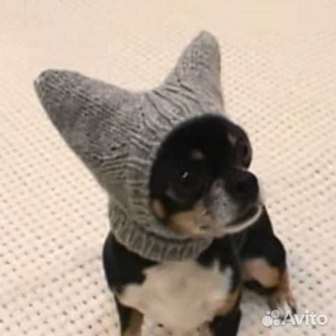 Шапочка для собаки
