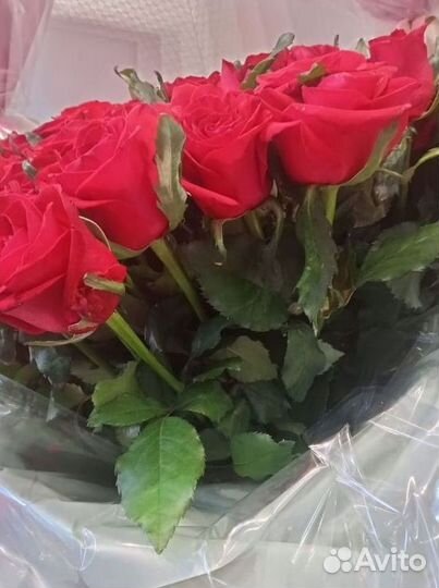 Розы оптом и в розницу