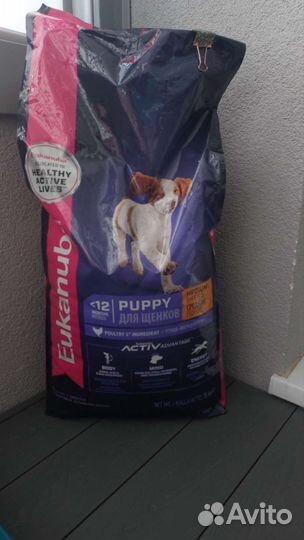 Eukanuba. Корм для собак средних пород