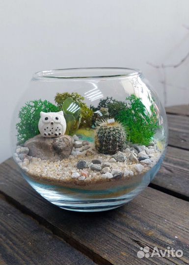 Флорариумы на 1 сентября
