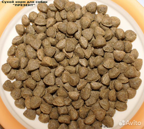 Полнорационный корм для собак