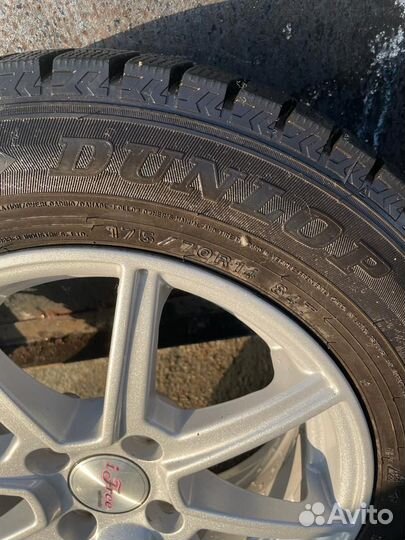 Dunlop Winter Maxx 175/70 R14