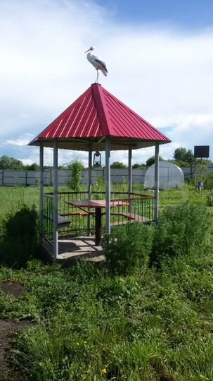 Дом 37,5 м² на участке 24 сот.