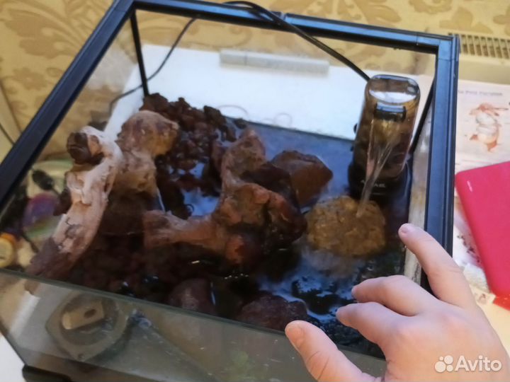 Террариум/аквариум