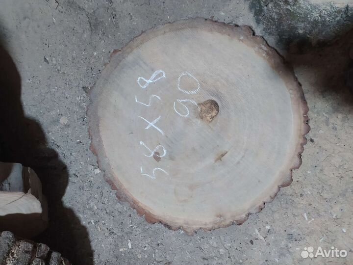 Спилы дерева