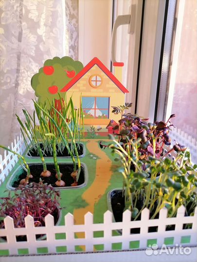 Ух, какие грядки - огород на подоконнике