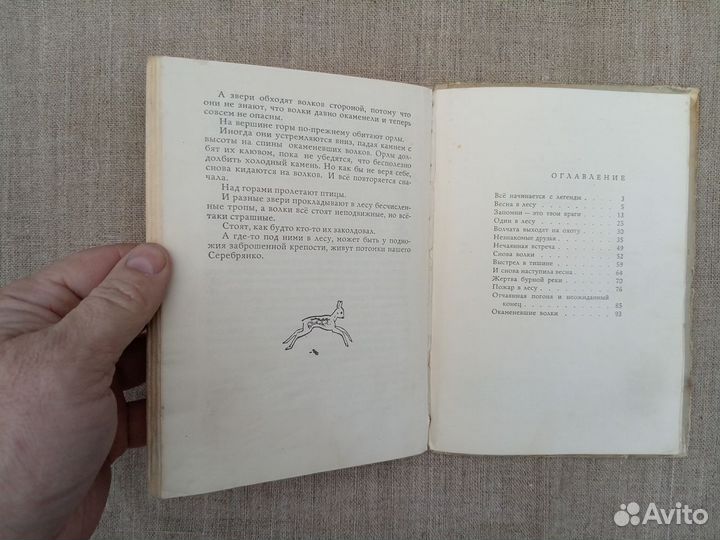 А. Хромаджич. Окаменевшие волки. Легенда. 1974 год