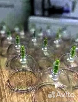 Вакуумные банки оптом арт 11.12