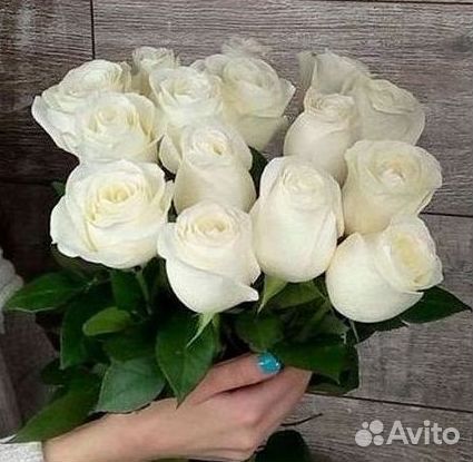 Розы Высокие 150см 160см 170см 180см 190см 2м