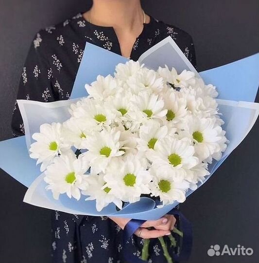 Доставка букетов и цветов. Хризантема