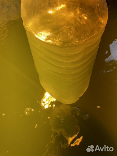 Хлорелла для пруда и водоемов