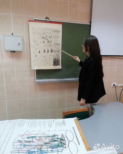 Репетитор по биологии на 2024 год (егэ)