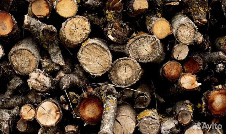 Дрова в СПБ
