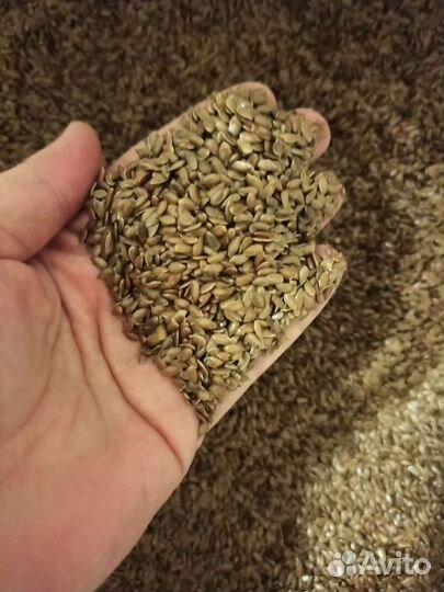 Чиа, лён, горчица Семена