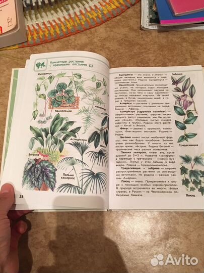 Атлас определитель от земли до неба