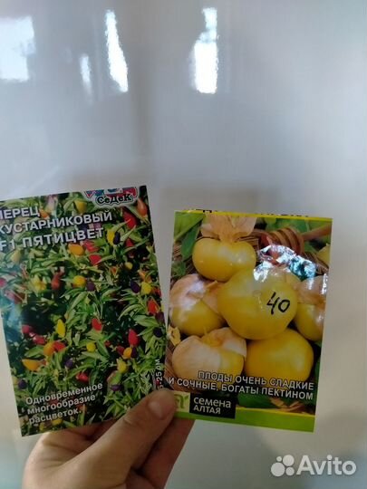 Стеклянные банки 0.5 л, рассада