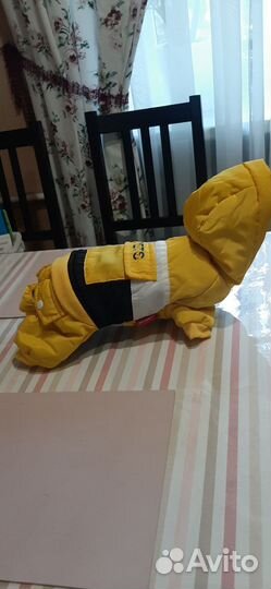 Комбинезон для маленькой собачки