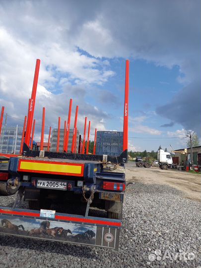 Полуприцеп лесовоз (сортиментовоз) Steelbear PF-41L, 2019