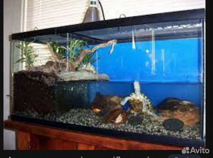 Аквариум