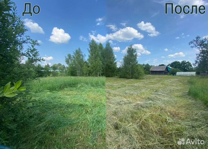 Покос травы