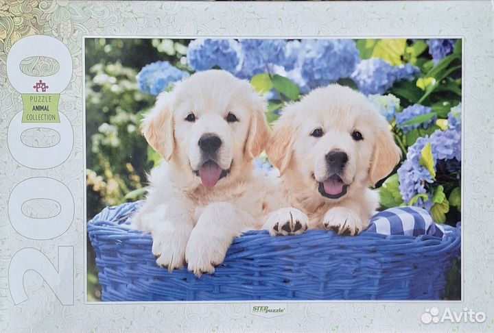 Пазлы 2000 деталей