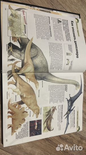 Энциклопедия динозавров