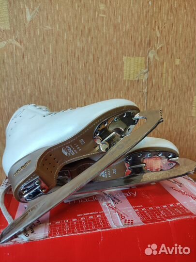 Фигурные коньки edea chorus 235