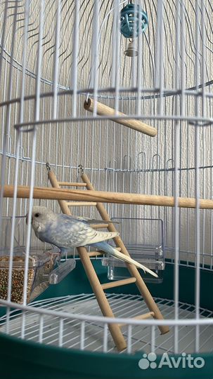 Клетка для попугая