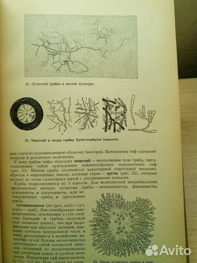 Микробиология
