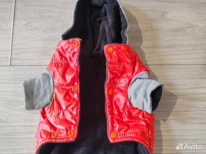 Одежда на маленькую собаку