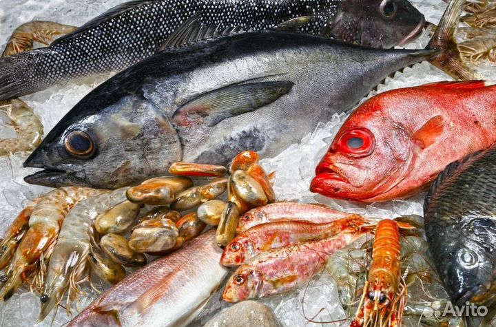 Франшиза: успешный старт бизнеса