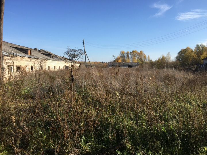 Участок 62,5 сот. (ИЖС)