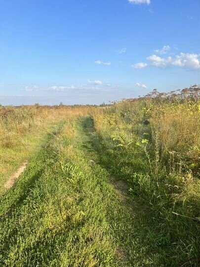 Участок 44 сот. (ИЖС)